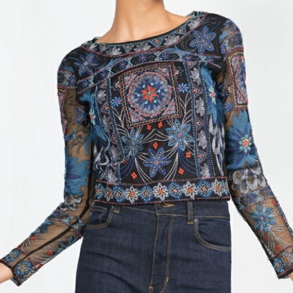 Zara Tops - [Zara] Embroidered Mesh Long Sleeve Black …